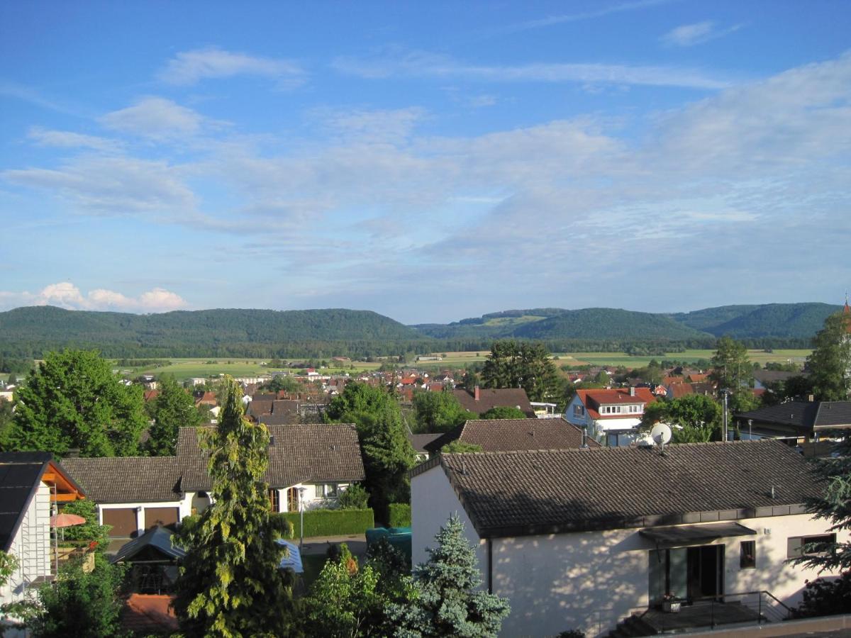 Haus Am Weinberg Apartment Erzingen Luaran gambar