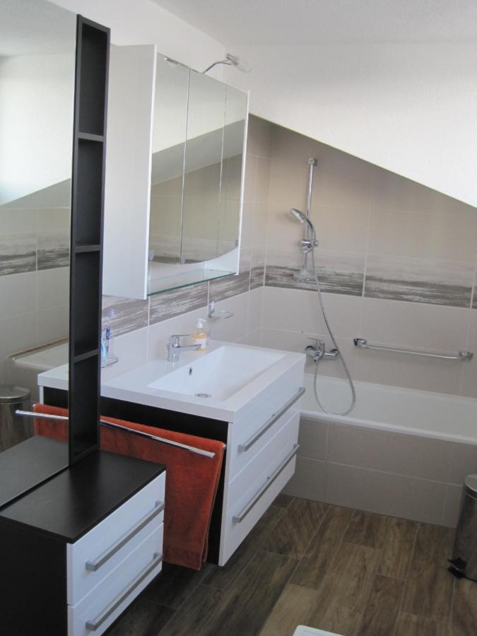 Haus Am Weinberg Apartment Erzingen Luaran gambar