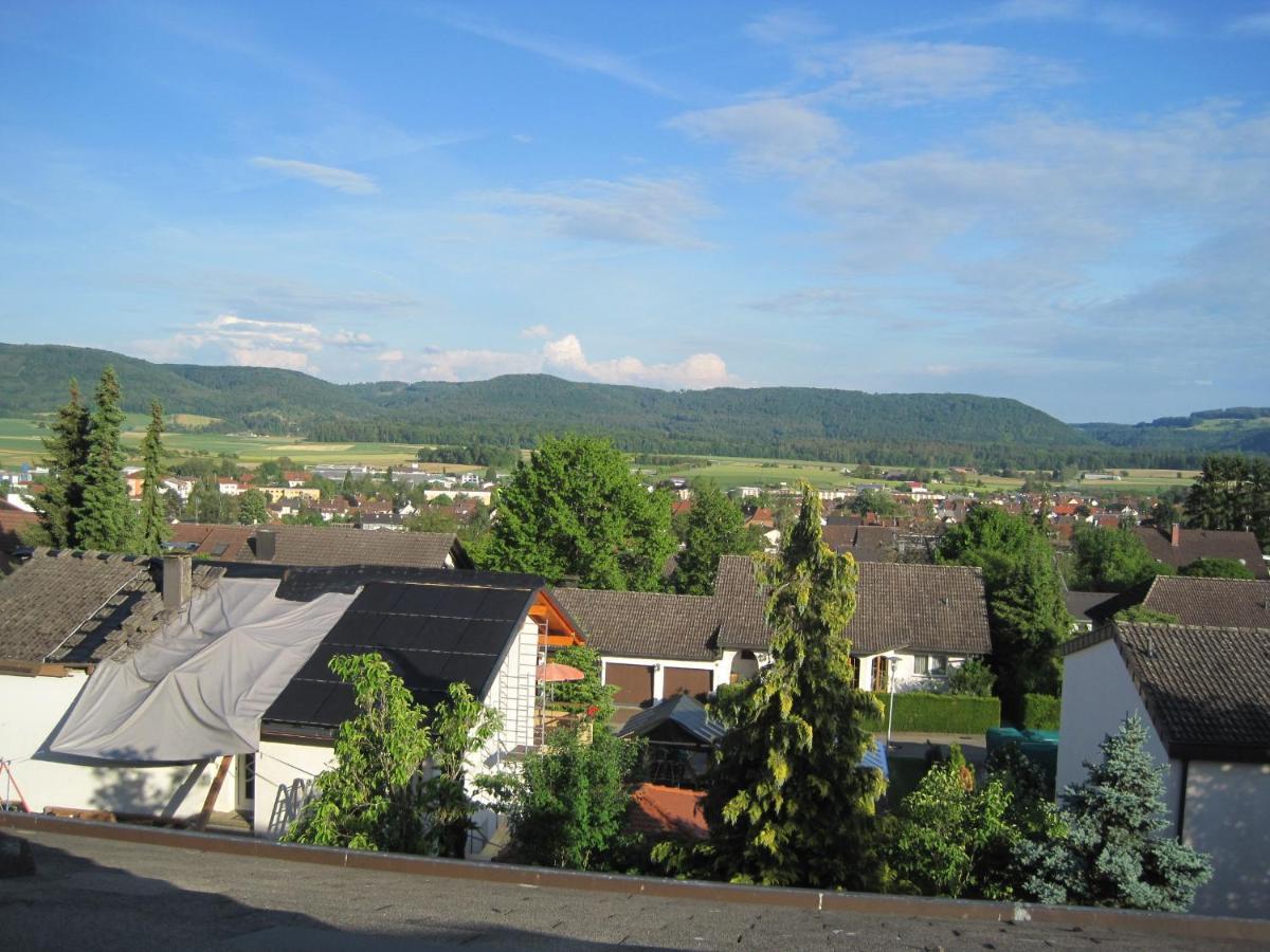 Haus Am Weinberg Apartment Erzingen Luaran gambar